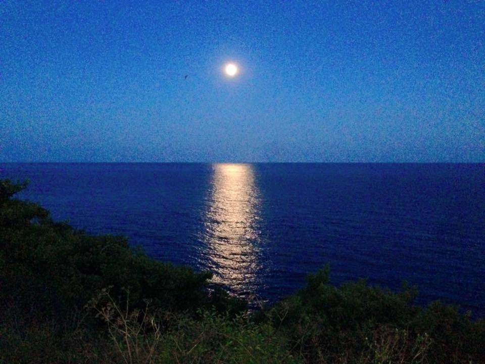 Ventnor Bay House Bed & Breakfast Luaran gambar